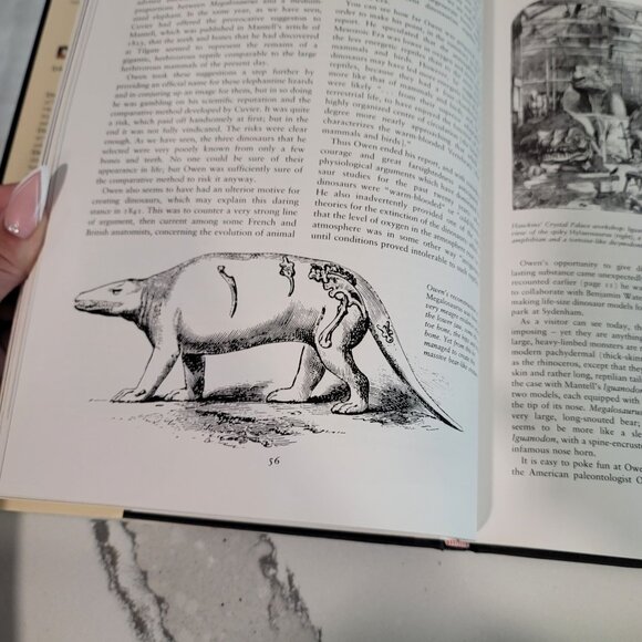 Dinosaur! hard cover book by David B. Norman. perfect book for dinosaur lovers - Picture 3 of 8